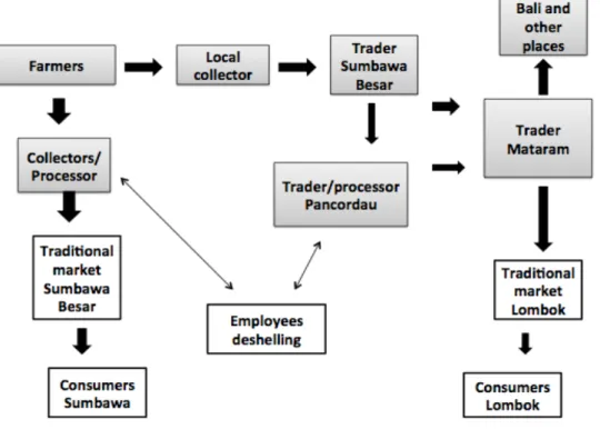 Figure 3. The candlenut value chain pictured by me
