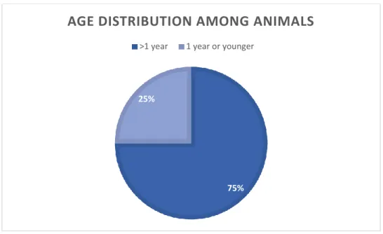 Figure 2. Age distribution among 491 goats and sheep sampled in Tunduma and Momba districts, 