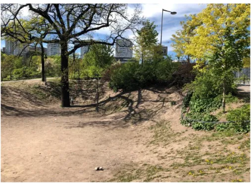 Figur 1 Exempel på hur slitage kan se ut i en park. Bilden är tagen i  Blomsterdalen i Stockholm