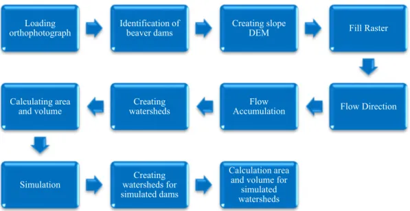 Figure 5. Methodology flow chart for the analysis of beaver systems in the Råne River catchment