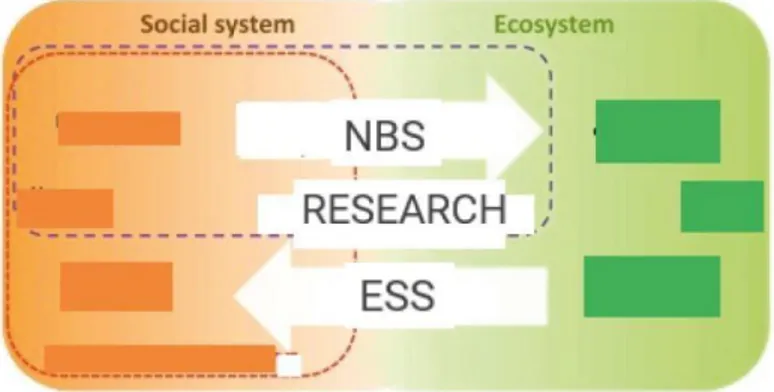Figure 3 NBS schema adapted from Albert et al. (2019).