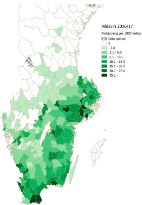 Figur 5. Vildsvinsavskjutning per 1000 hektar. Källa:  Svenska jägareförbundets viltövervakning 