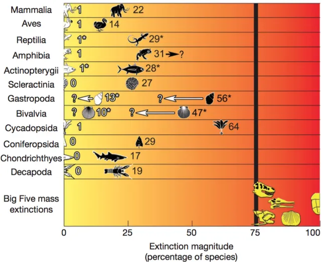 Figur 1. Magnitud av dagens utdöenden för olika klasser av djur. Vita siffror är andel (%) av arter  som  utrotats  under  de  senaste  500  åren