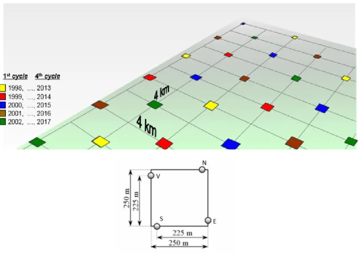 Figure 5. Scheme of NFI measurement tracks and plots (source: SFSS, 2002) 