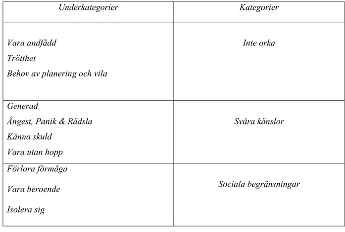Figur 1. Översikt av underkategorier och kategorier. 