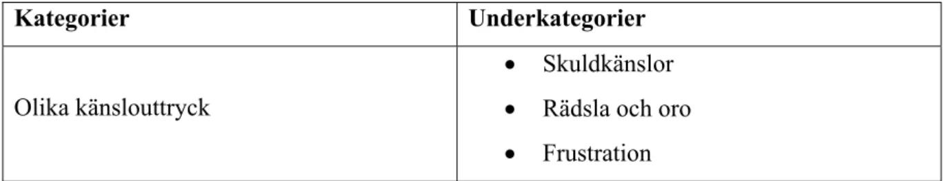 Tabell 1: Resultat med kategorier och underkategorier 