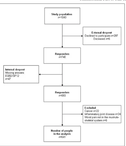 Figure 1.  Flow chart describing the study population in a study on musculoskeletal pain interfering with normal life among older adults  (60–78 years).