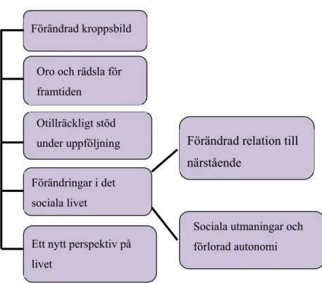 Figur 1: Kategorier och underkategorier från resultatet. 