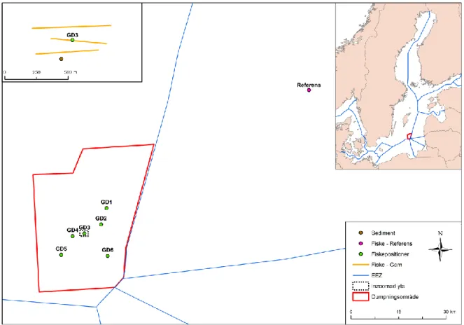 Figur 6. Översiktskarta över de undersökta positionerna i Gotlandsdjupet (gröna punkter) samt referensstationen för fisket  (rosa punkt)