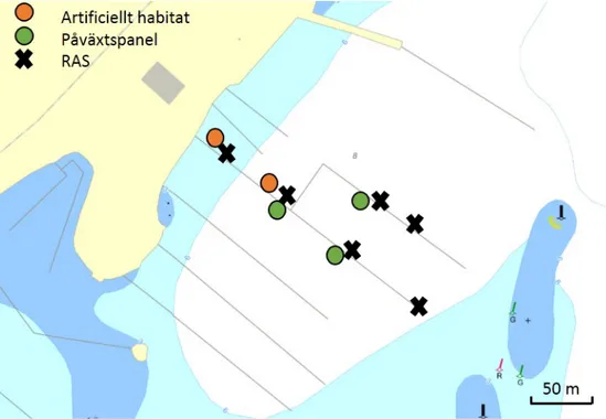 Figur 1.  Karta över Nynäshamn gästhamn. Position för de olika provtagningarna är utmärkta med cirklar för 