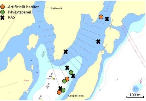 Figur 3.  Karta över Bullandö marina. Position för de olika provtagningarna är utmärkta med cirklar för artificiella 