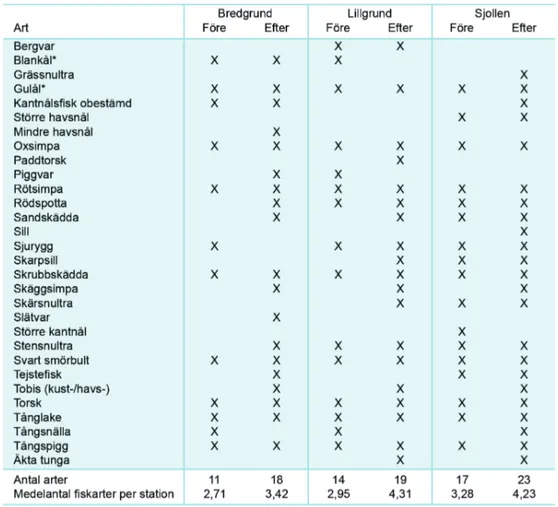 Tabell 4. Lista över fiskarter som fångats vid ryssjefisket före (2002–2005) och efter (2008  2010) anläggningen av vindkraftparken, på Lillgrund och på referensområdena Bredgrund  och Sjollen
