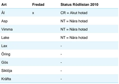 Tabell 3. Känsliga och reglerade arter i Vänern samt status enligt 2010 års rödlista.  