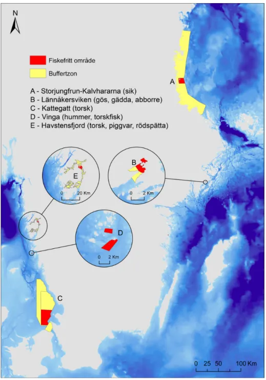 Figur 1. Karta över de fem fiskefria områden (röda) i kust- och utsjöområden som   inrättades till följd av regeringsuppdraget (Jo 2005/2964)