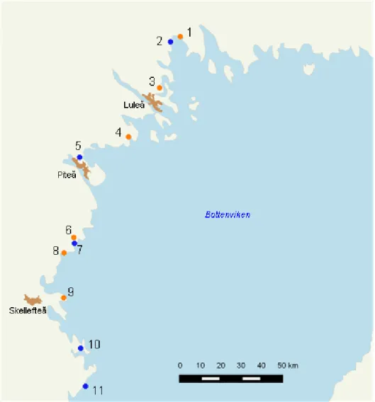 Figur 1. Bottenviken med de nordligaste av de undersökta områdena utmärkta som blå punkter för  naturtyp laguner (1150) och orange punkterför naturtyp estuarier (1130)