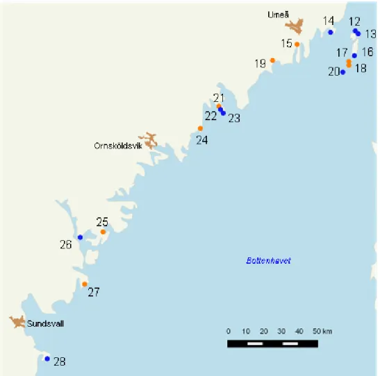 Figur 2. Norra Bottenhavet med de mellersta av de undersökta områdena utmärkta som blå punkter  naturtyp laguner (1150) och orange punkterför naturtyp estuarier (1130).