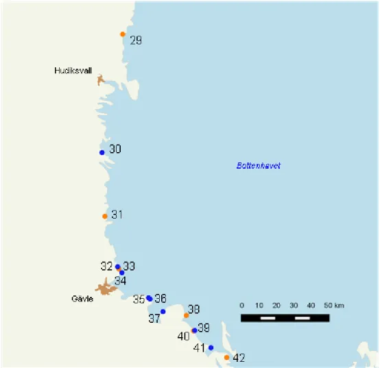 Figur 3. Södra Bottenhavet med de sydligaste av de undersökta områdena utmärkta som blå punkter för  naturtyp laguner (1150) och orange punkterför naturtyp estuarier (1130)