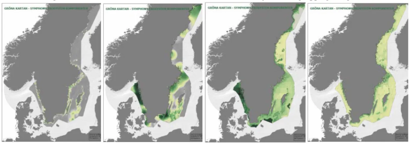 Figur 3. Från vänster: sammanvägda lager för fågel, däggdjur, fisk samt bentiska habitat 