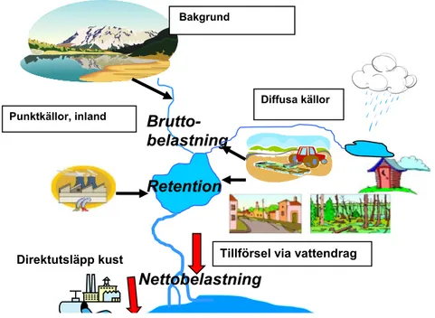 Figur 1. Schematisk översikt över utsläpp till vatten från olika källor samt bruttobelastning och  nettobelastning