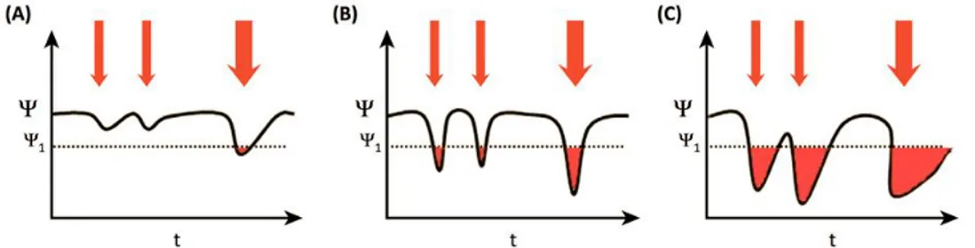 Figure 4 Schematic showing varying resilience levels of an ecosystem function (Ψ) to environmental 