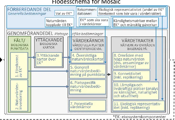 Figur 5. Flödesschema över de olika delarna och stegen i Mosaic, version 1. 