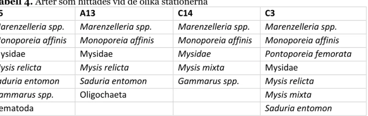 Tabell 4. Arter som hittades vid de olika stationerna 