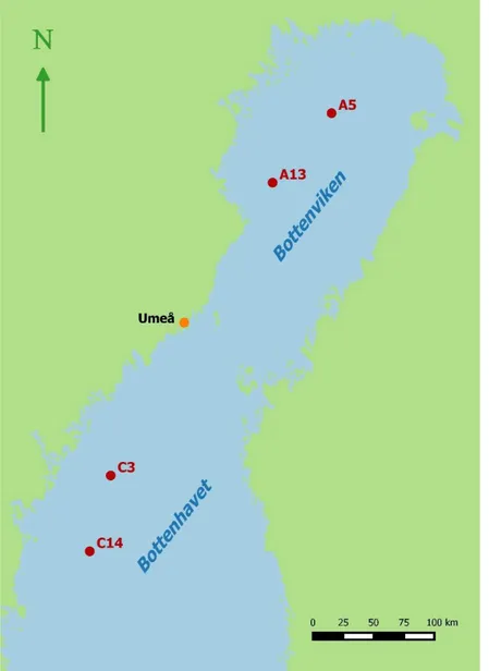 Figur 1. Karta över Bottniska viken och de fyra stationer som ingår i 
