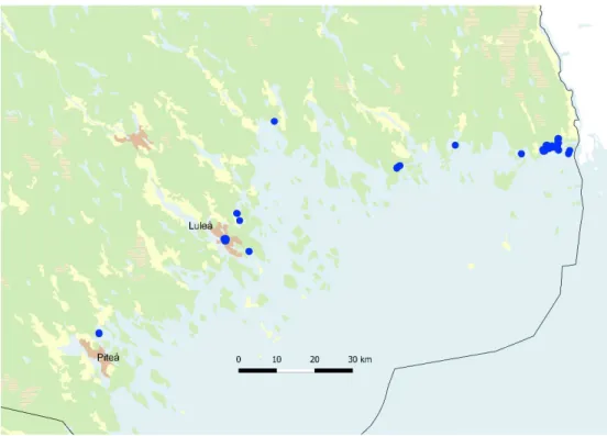 Figur 9. Aktuella fyndlokaler för barklöst sträfse längs Norrbottenskusten (Artportalen  augusti 2019)