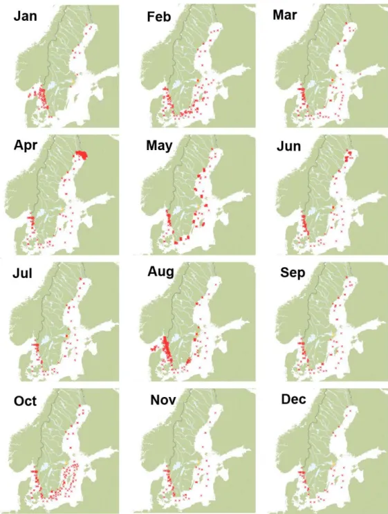 Fig. 3. Sampling locations for chlorophyll a in 2014. Maps include samples  from the national marine monitoring program, most regional monitoring  programmes and any short term project sampling