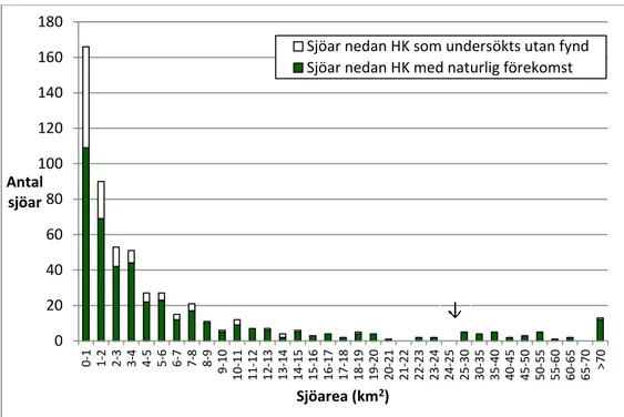 Figur 4. Antalet undersökta sjöar nedan HK i Sverige indelade i olika sjöareaklasser. Sjöar  som har påvisade naturliga bestånd av glacialrelikta kräftdjur och som har undersökts utan  att nämnda djur påträffats