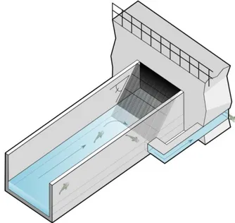 Figur 7 Låglutande galler, i detta fall sluttande galler, hindrar fisken att fastna på gallret och  tvingar in den i en fiskavledare förbi vattenkraftverket