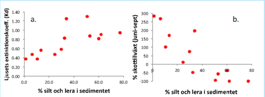 Figur A. Förhållande mellan andelen silt och lera i sedimentet och ljusets extinktionskoefficient (Kd)  som anger hur snabbt ljuset absorberas i vattnet (a), samt förhållande mellan andelen silt och lera i  sedimentet och tillväxten av planterade ålgrässko