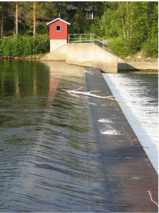 Figur 18. Fiskspärr i Storån nedströms Ottsjön (Indalsälven). Foto: Ingemar Näslund. 