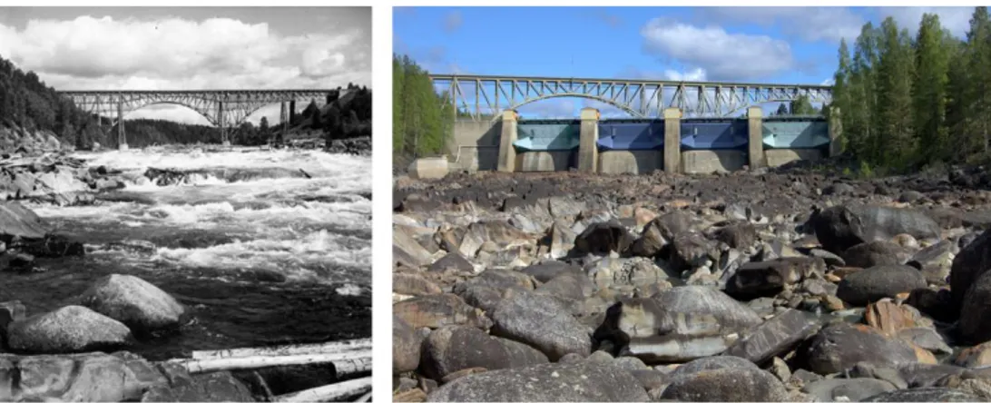 Figur 1 och 2. Forsmo i Ångermanälven, före utbyggnad (1936) och idag (2011). Foto:  Ingemar Näslund
