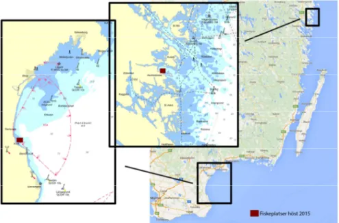 Figur 2: ”Karta över fiskeplatser efter skrubbskädda i Hanöbukten och Kvädöfjärden sista  veckan i september 2015.” 