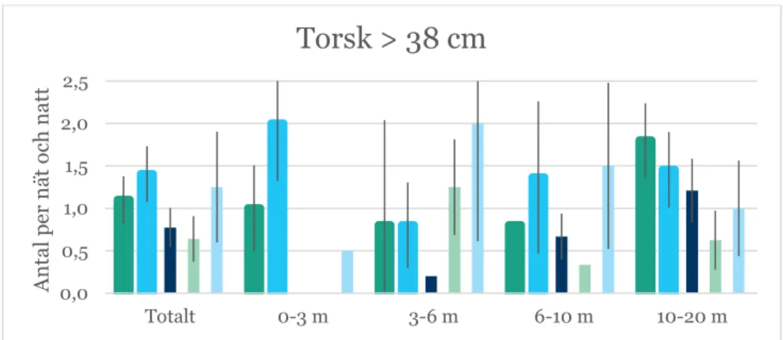 Figur 15. Fångst per ansträngning av stor torsk (&lt; 38 cm) i undersökningarna 2015 och i  tidigare undersökningar i området