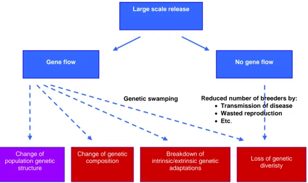 Figure 5. Primary pathways by which large-scale releases can change genetic characteristics within  (red boxes) and between (purple box) natural populations