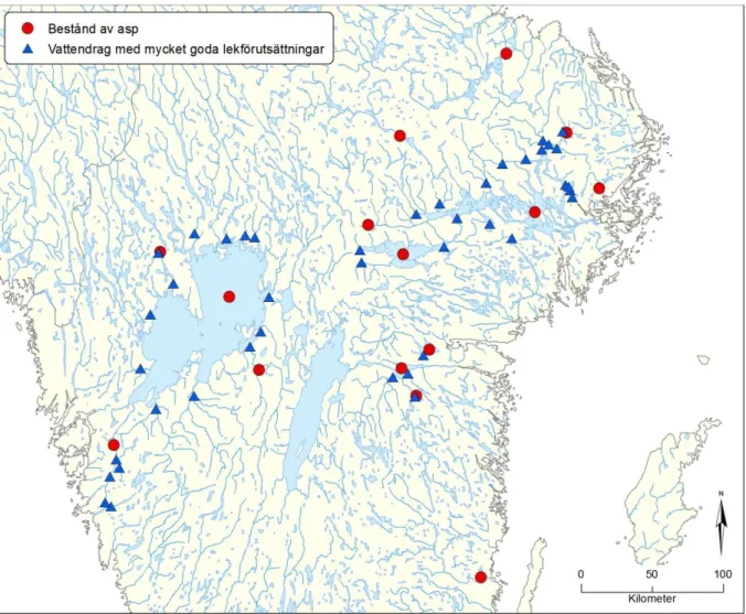 Figur 5. Aspens utbredning i Sverige och vattendrag med mycket goda lekförutsättningar