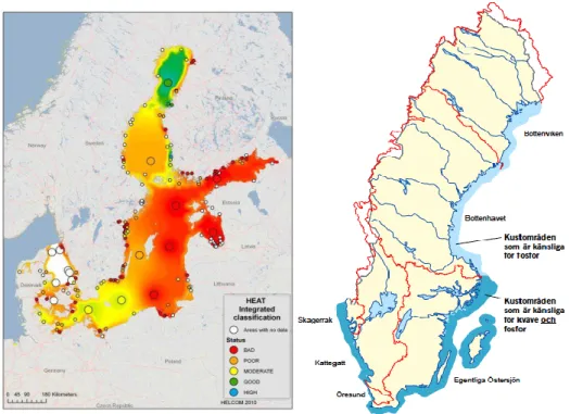 Figur 1. Utbredningen av övergödning i Östersjön. Källa: HELCOM, 2010. Till  höger visas de kustområden i Sverige som utpekats som känsliga för utsläpp  av fosfor