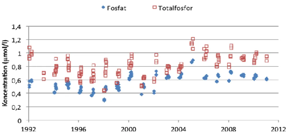 Figur 5. Vinterkoncentrationer av fosfat- och totalfosfor i ytligt havsvatten  från Östra Gotlandsdjupet (provtagningsplats BY15)