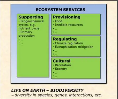 Figure 2.1. Four categories of ecosystem services, after MA (2005). 