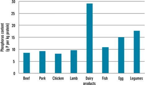 Figure 1 Phosphorus content of protein-rich food products. 