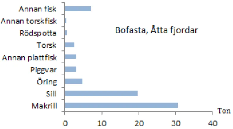 Figur 5. Total fångst fiskad med handredskap i Åtta fjordar av urvalsgruppen  bofasta i kommunerna Åtta fjordar (från fiske i område B-E i karta sid 13)