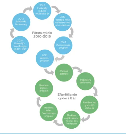Figur 2.  Havsmiljöförordningens förvaltningscykel med de steg som ska genomföras varje  sexårsperiod