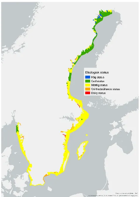 Figur 5. Kartan visar ekologisk status i kustvatten. Statusklassningen är gjord inom 