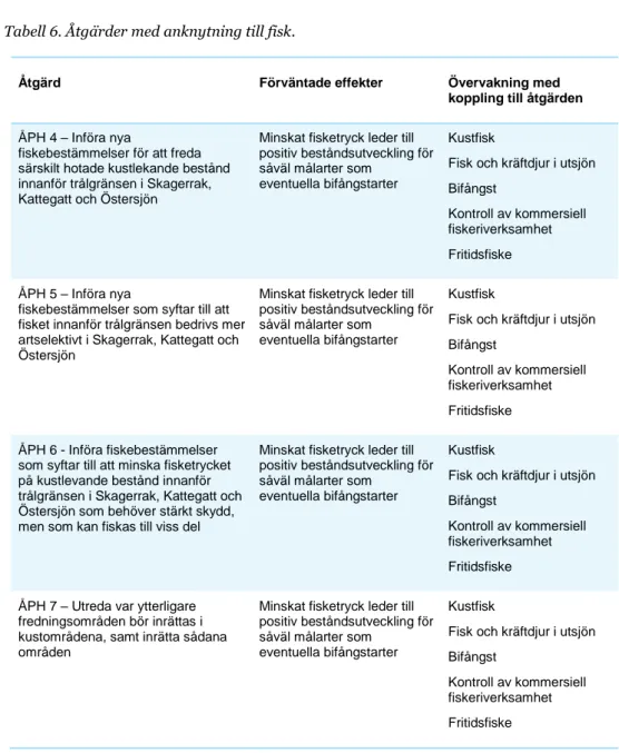 Tabell 6. Åtgärder med anknytning till fisk. 