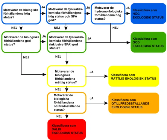 Figur 1. Resultaten av bedömningar på kvalitetsfaktornivå vägs samman vid ekologisk  statusklassificering