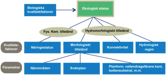 Figur 3. Illustration av hur de olika värdena som ingår i det här projektet förhåller sig till  varandra i statusklassningen