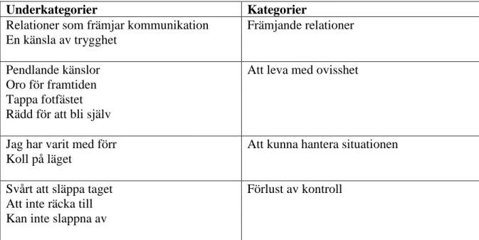 Tabell 8. Presentation av underkategorier och kategorier. 
