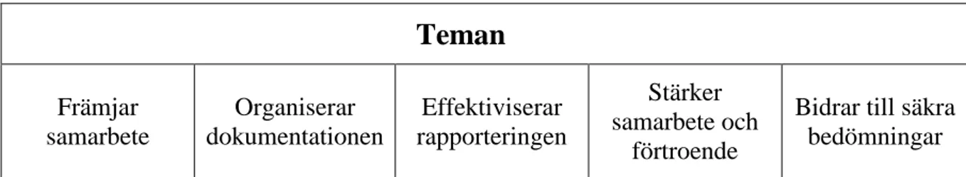 Tabell 1 Översikt över temana 